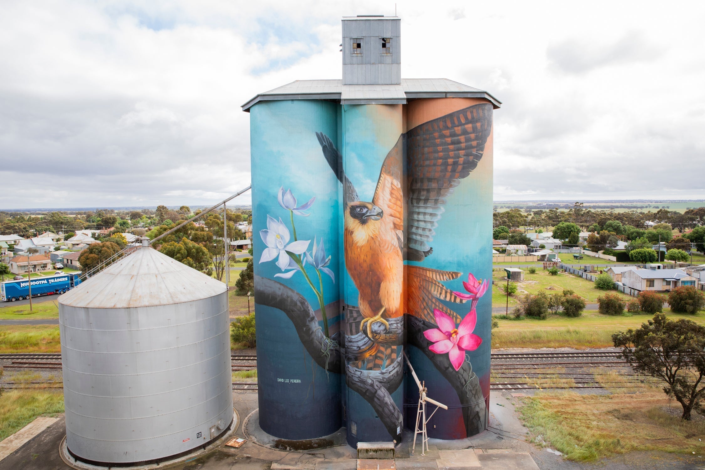 Kaniva Silo Artwork by David Lee Pereira