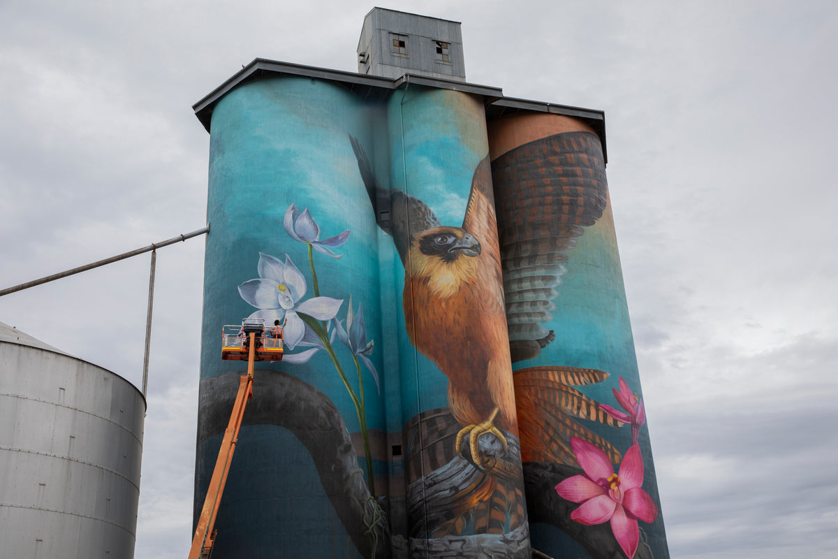 David Lee Pereira (2020), West Wimmera Shire Council   | ART AID